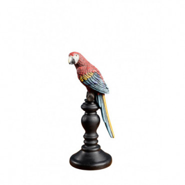 Perroquet coloré sur perchoir