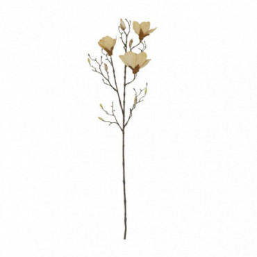 Fleur mangnolia blanc cassé