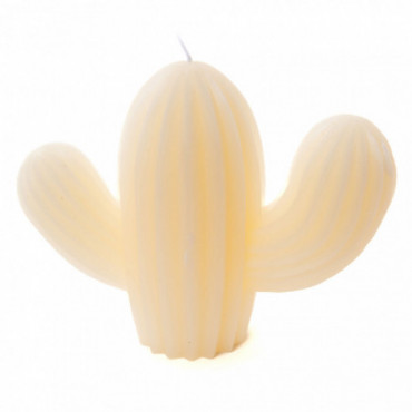 Bougie Cactus Blanche H15