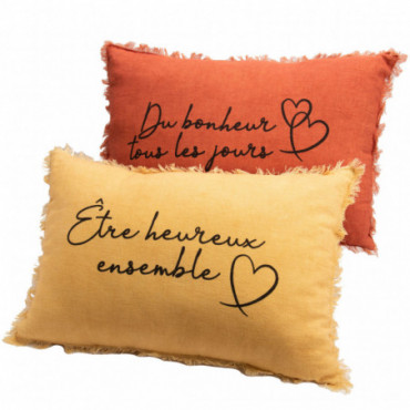 Coussin Lin Duo Cur 40*60 x2