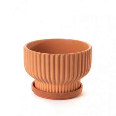 Coupe Terracotta