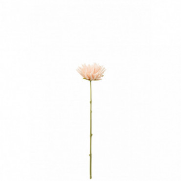 Chrysantheme Mini Plastique Rose Clair
