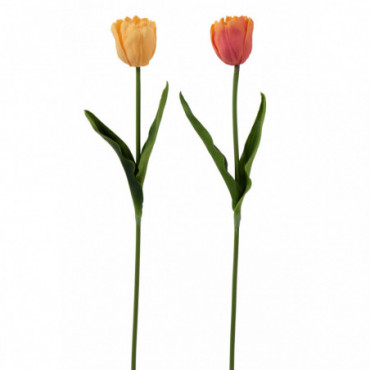Tulipe Seule Fresh Touch Orange/Corail x2