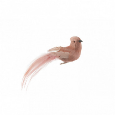 Oiseau + Clip Plumes Nude x2