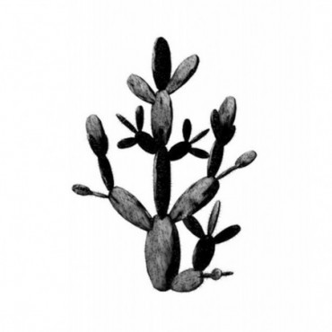 Tableau Cactus Black