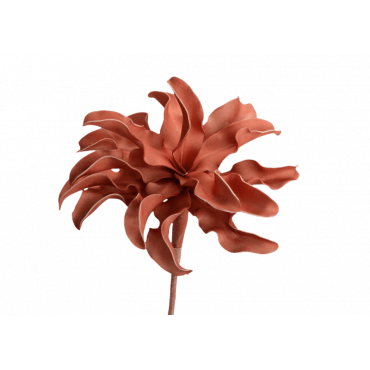 Fleur Cumbia H54 Terracotta