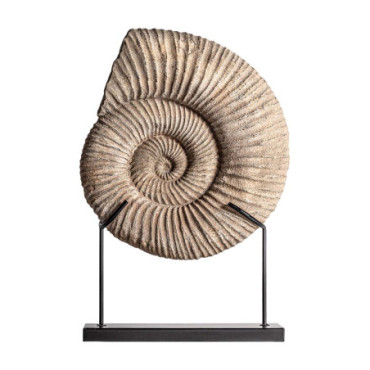 Fossile Concha Beige en Résine 59cm