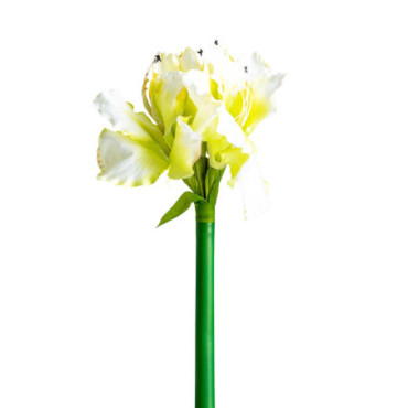 Fleur Amaryllis Blanc en Plastique 73cm