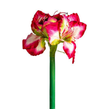 Fleur Amaryllis Fuchsia en Plastique 73cm