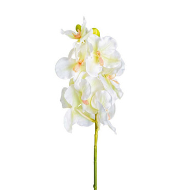 Fleur Azahar Blanc en Plastique 76cm