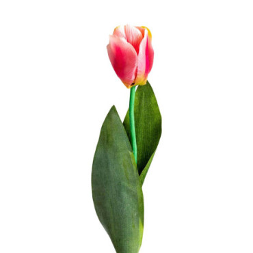 Fleur Tulipan Rose en Plastique 64cm