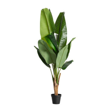 Plante Bananier Vert en Polyester 135cm