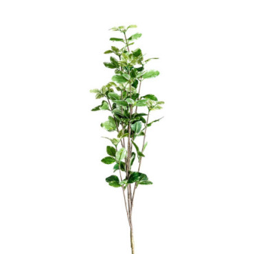 Plante Hojas Vert en Plastique 88cm