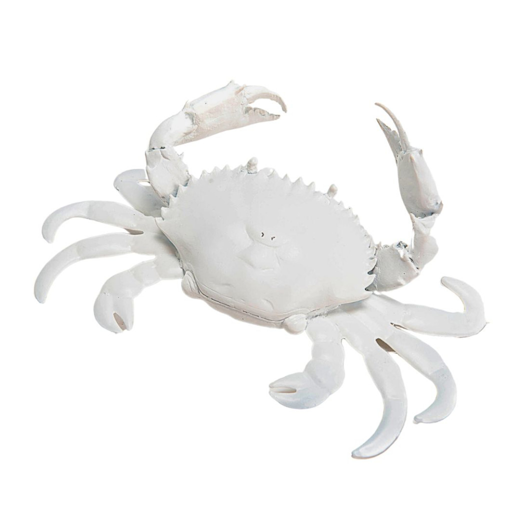 Crabe Blanc