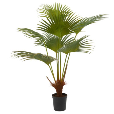 Palmier Palm Royal H140 Vert