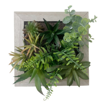 Plantes succulentes artificielles dans un cadre carré en bois