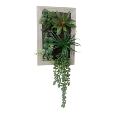 Plantes succulentes artificielles dans un cadre en bois