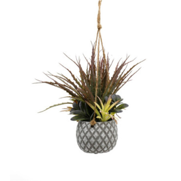 Plantes succulentes suspendues dans un petit pot gris en treillis