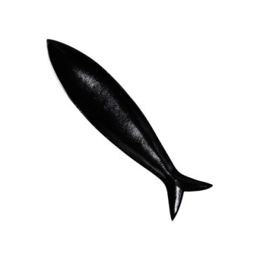 Long plateau poisson noir