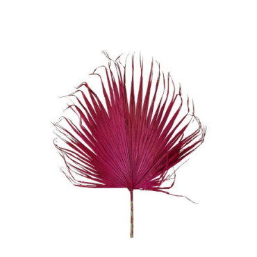 Feuille de palmier XXL magenta Décoration Florale