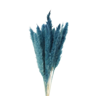 Herbe de la Pampa duveteuse bleue Natural Home