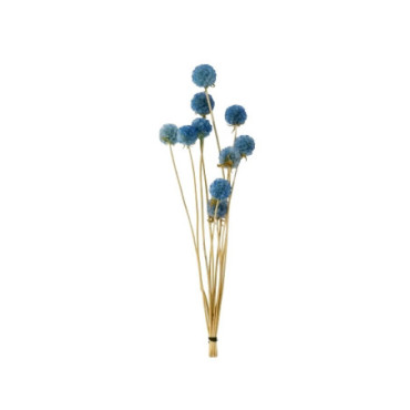 Scabieuse bleue Décoration Florale