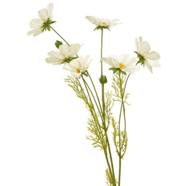 Cosmee blanc Fleurs Décoratives