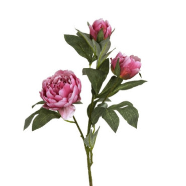 Pivoine rose Fleurs Décoratives