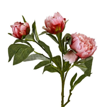 Pivoine rose foncé Fleurs Décoratives