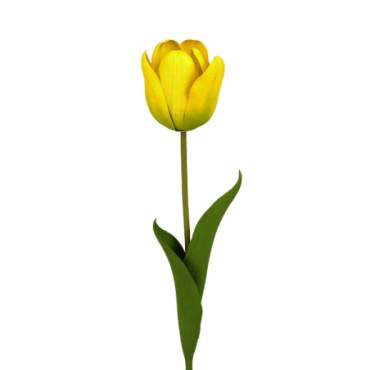 Tulipe jaune Décoration Florale