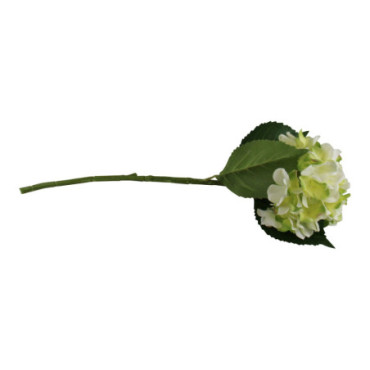 Gerbe d'hortensia simple crème et fleur verte 49 cm