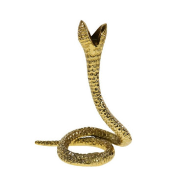 Chandelier Snake or