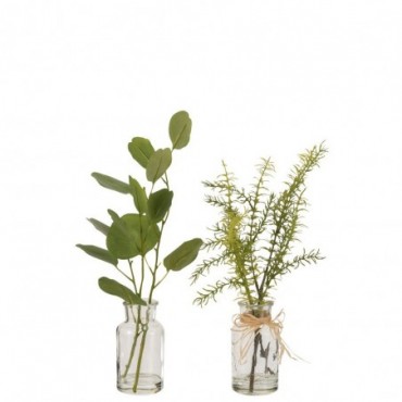 Eucalyptus-Branches Dans Vase Verre Transparent-Plastique Vert...