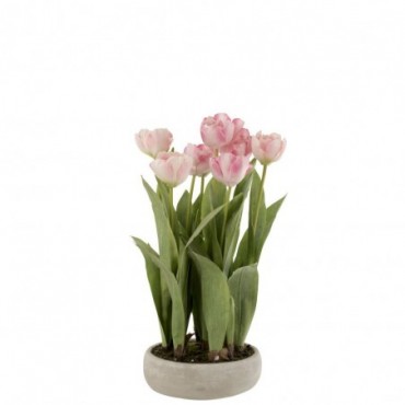 Tulipe En Pot Ciment Gris Plastique Rose-Vert