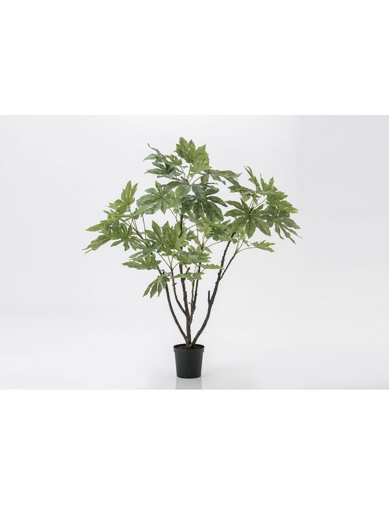 Choix de vert - Fatsia japonica - Fingerplant - plante d'intérieur en pot  SANTORINI