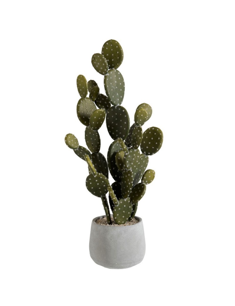 Cactus pot vert ciment large