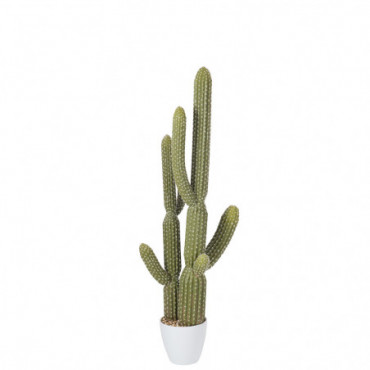 Cactus + Pot Plastique Vert/Melamine Blanc Large