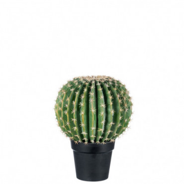 Cactus + Pot Noir Resine Vert Large