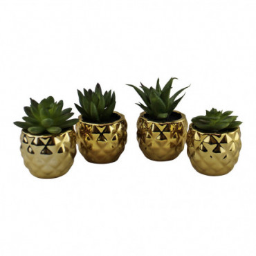 Succulentes miniatures en pots géométriques dorés lot de 4