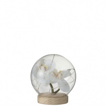 Fleur Sous Cloche Led Glass/Bois White/Natural Taille Moyenne