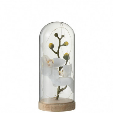 Fleur Sous Cloche Haute Led Glass/Bois White/Natural Petite Taille