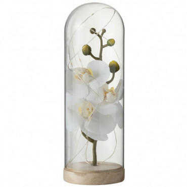 Fleur Sous Cloche Haute Led Glass/Bois White/Natural Grande Taille