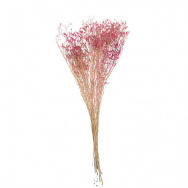 Bouquet Gypsophile Seche Fuchsia