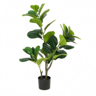 Ficus Lyrata Pot Hauteur: 100
